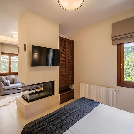 Holly Tree - Tsagarada Pelion Apartment Exterior photo
